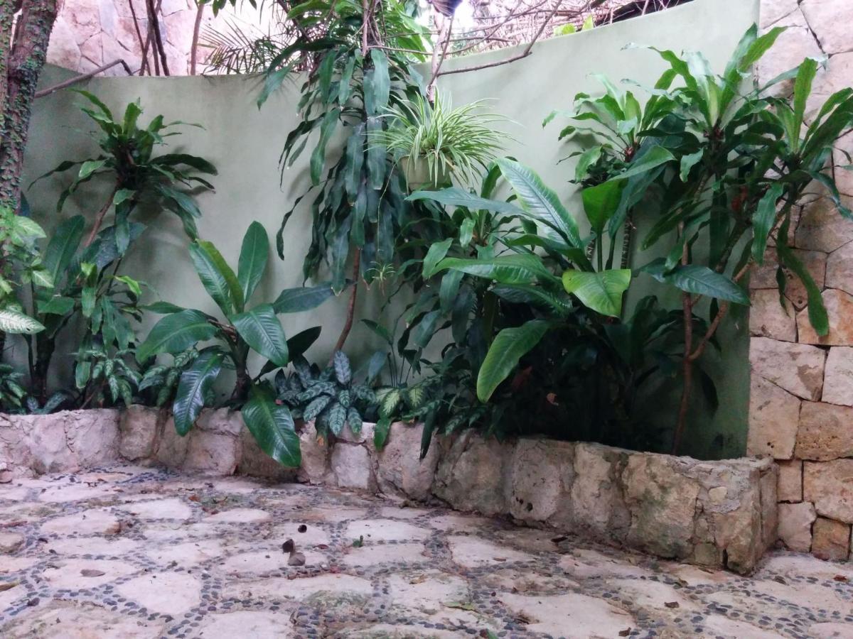 Casa Beard, Spacious Guest House With High Speed Wifi & Pool. Playa del Carmen Bagian luar foto