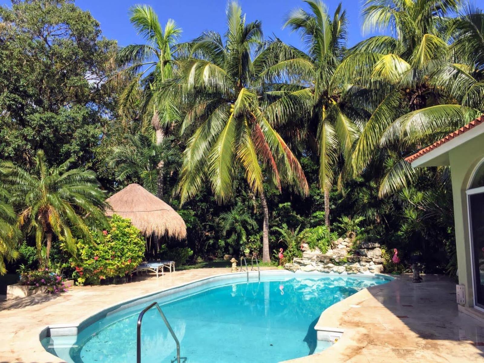 Casa Beard, Spacious Guest House With High Speed Wifi & Pool. Playa del Carmen Bagian luar foto